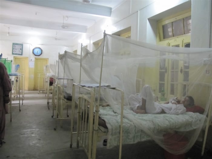 dengue cases