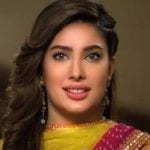 Mehwish Hayat opens up about not working in Bollywood