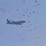 Bird bumps into flying plane travelling to Peshawar