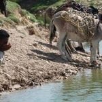70% of Rajanpur's population inaccessible to clean water