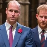 Prince Harry and Prince William are "on different paths"