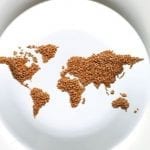 "World Food Day" being observed globally