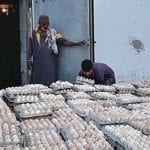 Four arrested by SFA for selling fake plastic eggs in Karachi