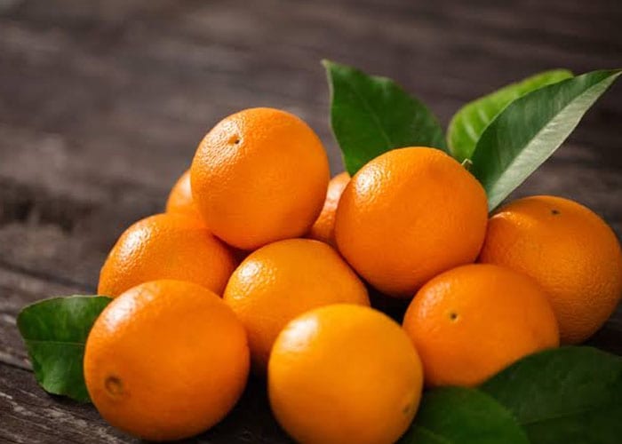 Chinese, Pakistani scientists join hands to combat citrus diseases, insect pests