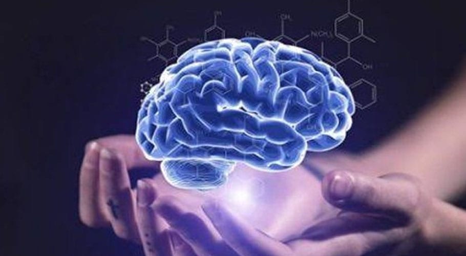 Indians have smaller brains compared to everyone else