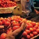 Tomatoes imported from Iran to reach Pakistan today