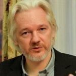 wikileaks assange