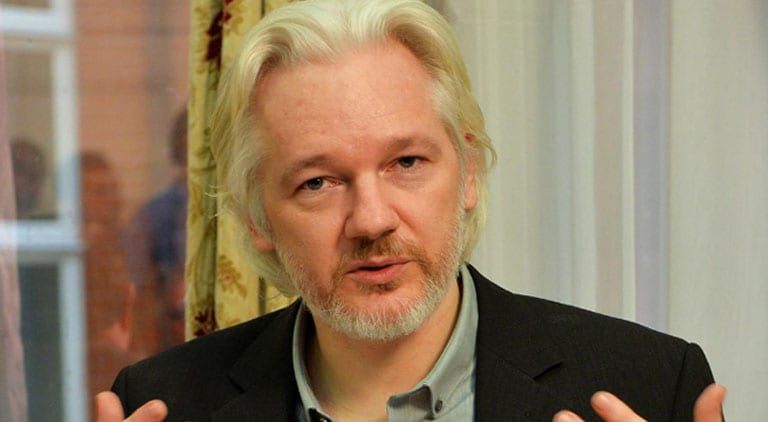 wikileaks assange