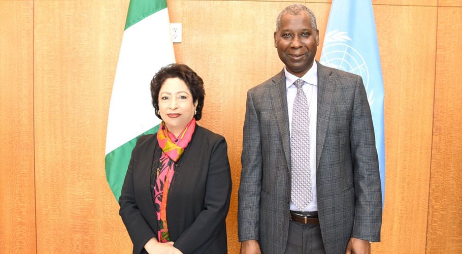 Maleeha Lodhi bids farewell to UN by completing 4-year tenure