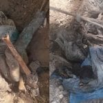 Human bones recovered from Karachi’s Annu Bhai Park
