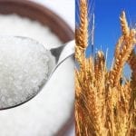 wheat and sugar crisis