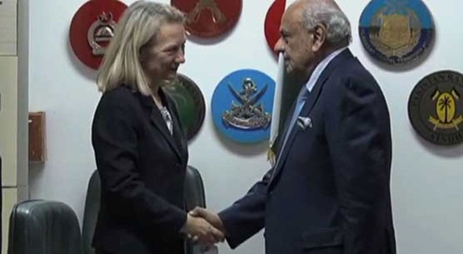 Alice Wells meets Ijaz Shah, discuss national, regional security