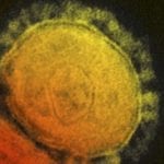 13 new coronavirus cases emerge in Sindh, national tally rises to 52