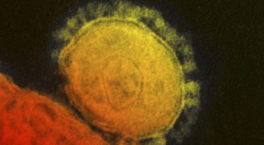 13 new coronavirus cases emerge in Sindh, national tally rises to 52
