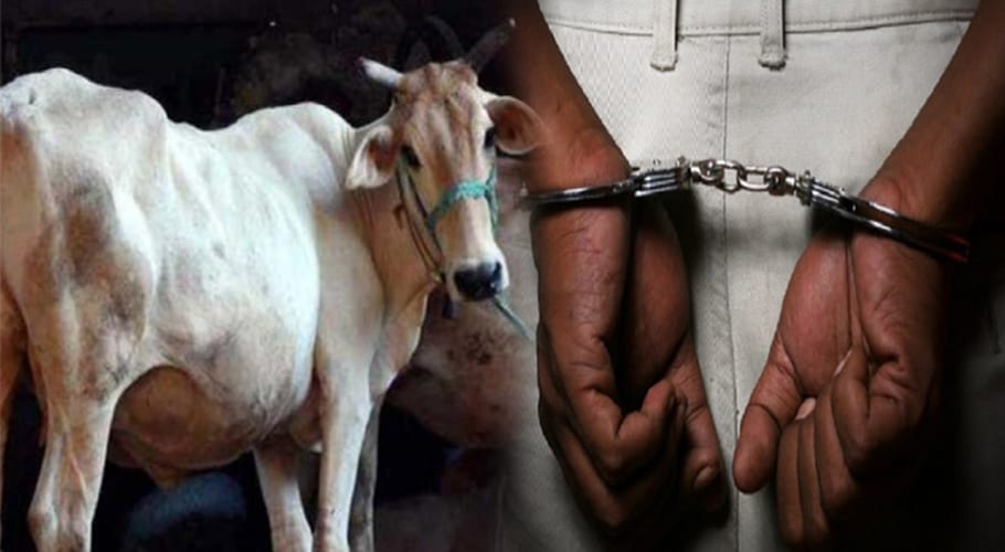 Man rapes 2-year-old calf, tortures it to death in Kerala
