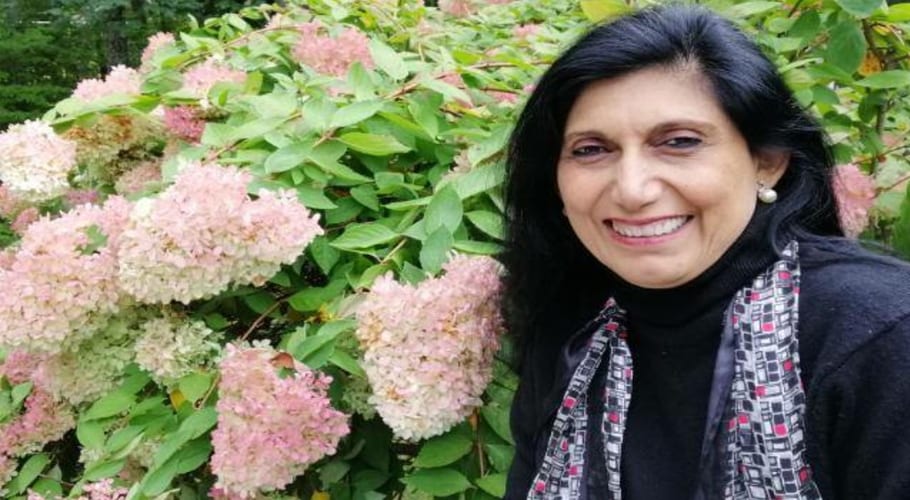 Former Director of Lok Virsa Dr. Fouzia owns properties worth billions