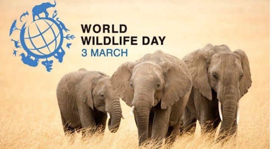 World Wildlife Day