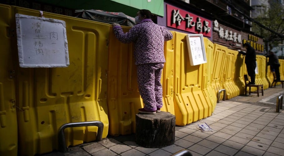 Chinese city Shenzhen bans eating of cats and dogs after coronavirus