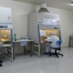 Sindh establishes ‘Pakistan’s biggest COVID-19 laboratory’ at KU