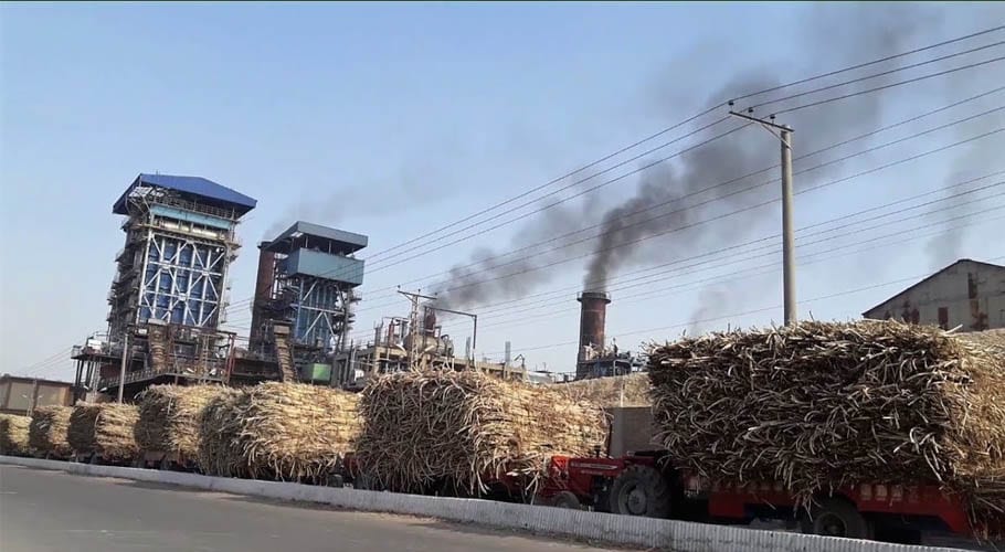 Some facts regarding sugar scandal report and sugar industry