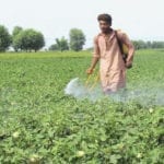 agriculture sector