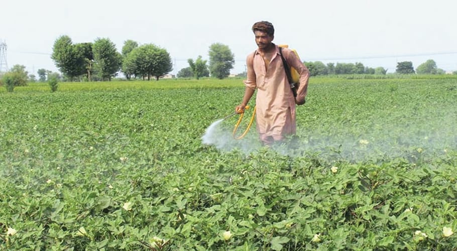 agriculture sector