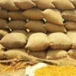 The total production of wheat iwas estimated at 27.33 million tons. Source: APP/FILE