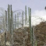 Civilian injured in unprovoked firing by Indian troops across LoC