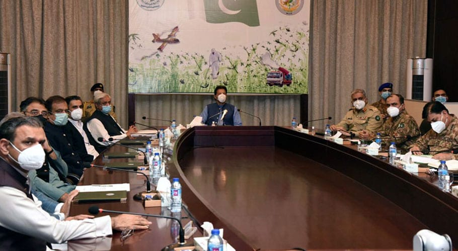 Coordinated response required to cope with locust swarm: PM Imran  