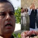 safdar