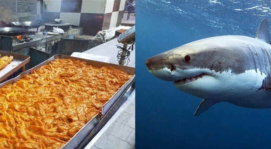 Shark meat, sea bat being sold as finger fish