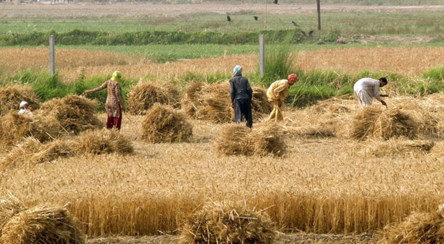 Pakistan’s agri sector requires $3.97b to recover from flood damages: Report