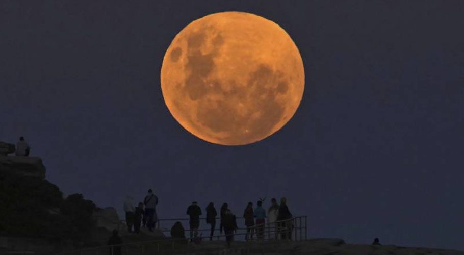 Beaver Moon