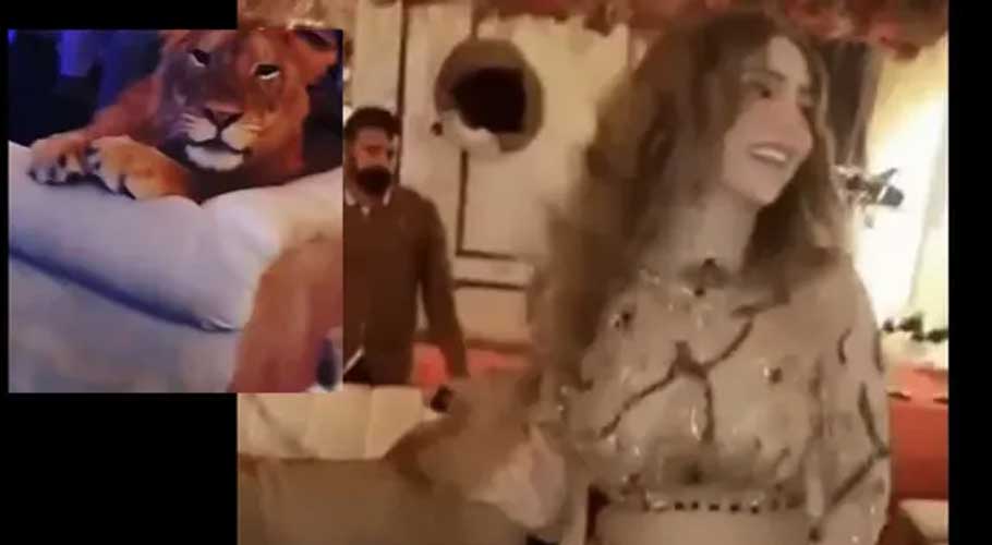 Pakistani influencer uses lioness as 'party prop'