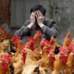 Bird flu poses greater risk to human as China records world’s first death