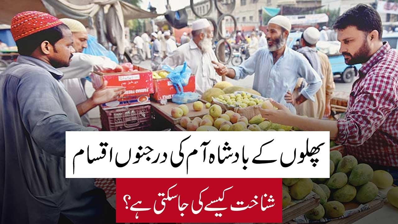 Source: MM NEWS