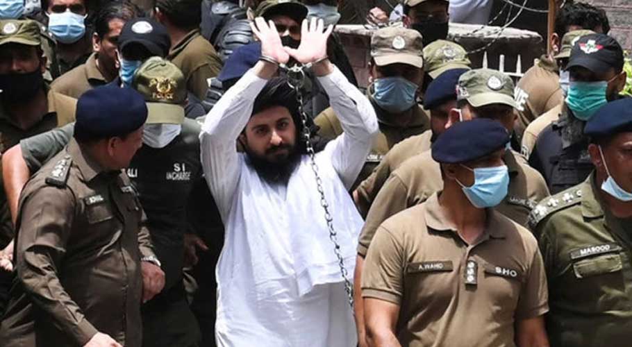 What is the future of TLP in Pakistan’s politics?