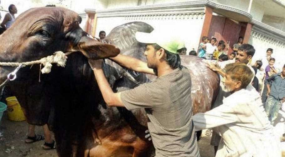 Meanwhile, citizens continued to suffer from the foul smell. (File/Photo)