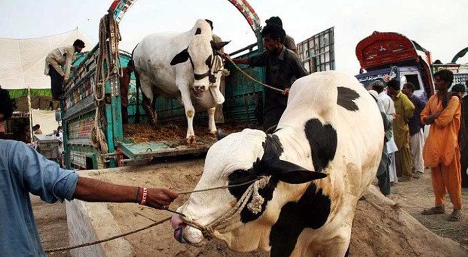 sale of animals within cities banned