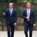 Britain's Prince William and Prince Harry attend the unveiling of a statue they commissioned of their mother Diana. Source: Reuters