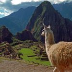Lambda is currently the dominant variant in Peru. Source: Britanica.