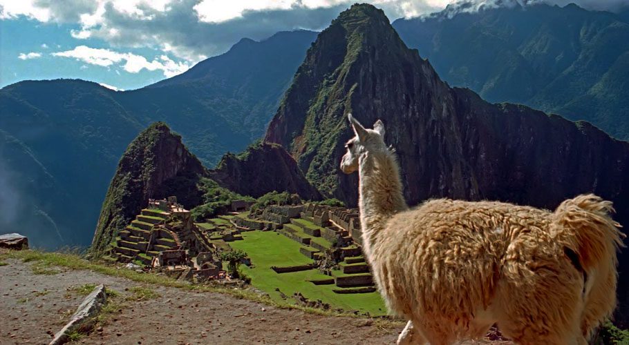 Lambda is currently the dominant variant in Peru. Source: Britanica.