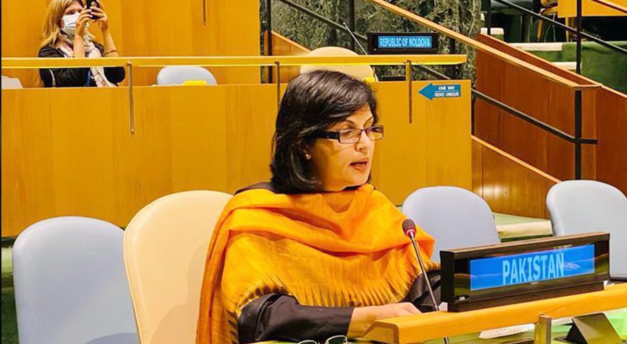 SPAM on Poverty Alleviation and Social Protection, Dr Sania Nishtar, addressing high-level political forum on sustainable development in New York. Source: PID