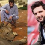 Afridi had a lion at his house in Karachi in 2018 as well, however, on a complaint by citizens, the Wildlife Department had launched an inquiry into it.