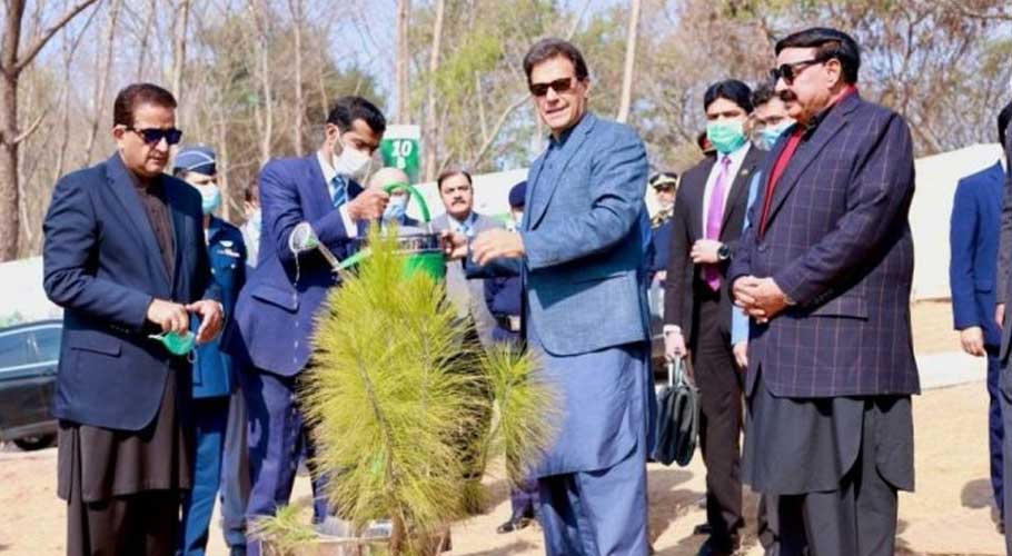 The forest has been developed over 100 kanals and has 165,000 plants