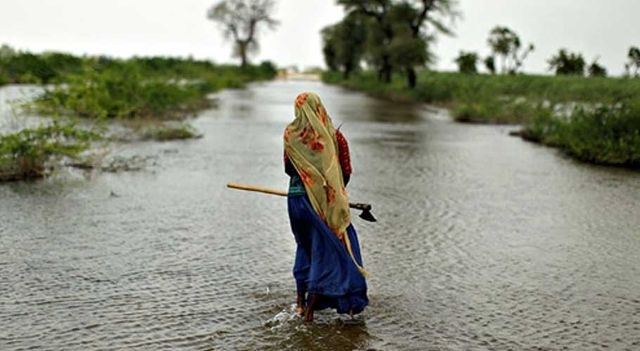 The impact of global warming is worldwide and Pakistan too is bearing its brunt.