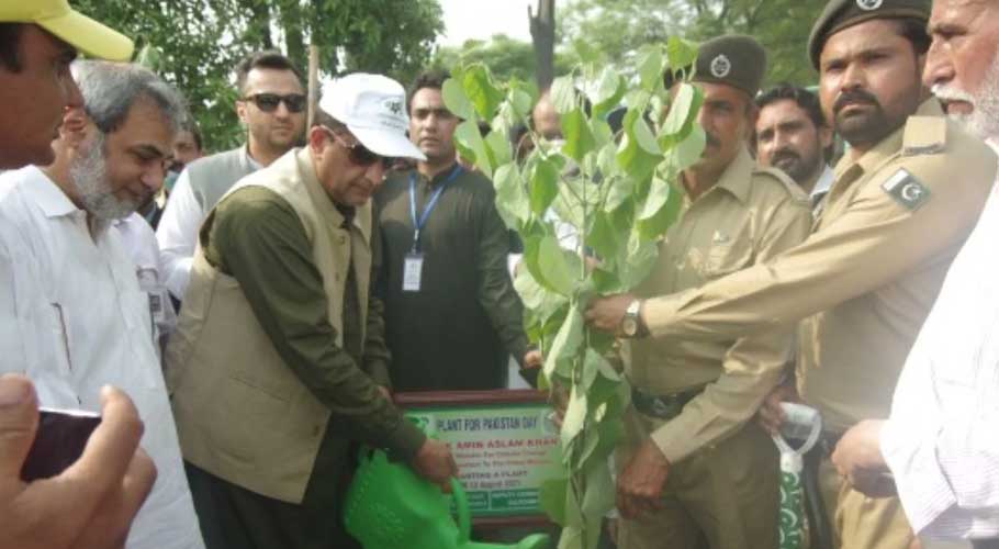 47 drone cameras record the plantation drive. (Source: APP)