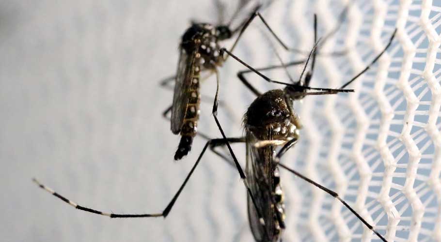 Fever claims lives of at least five more people. (Source: Reuters)