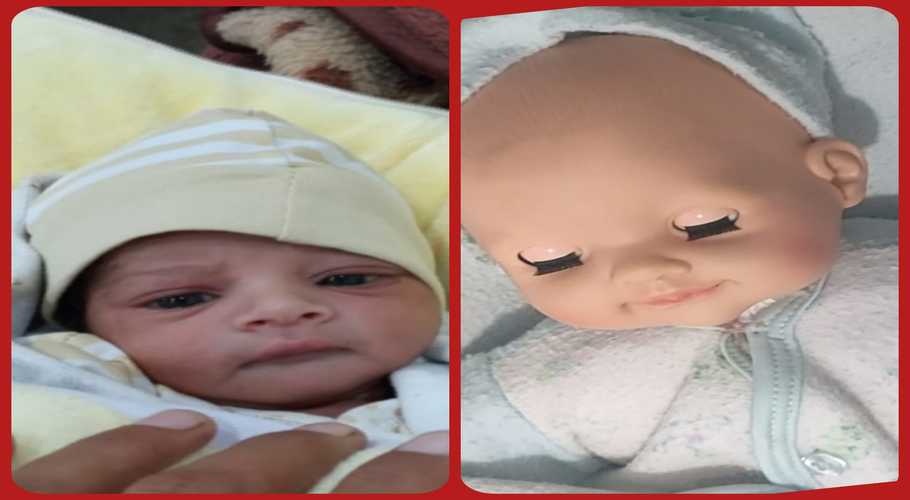 newborn