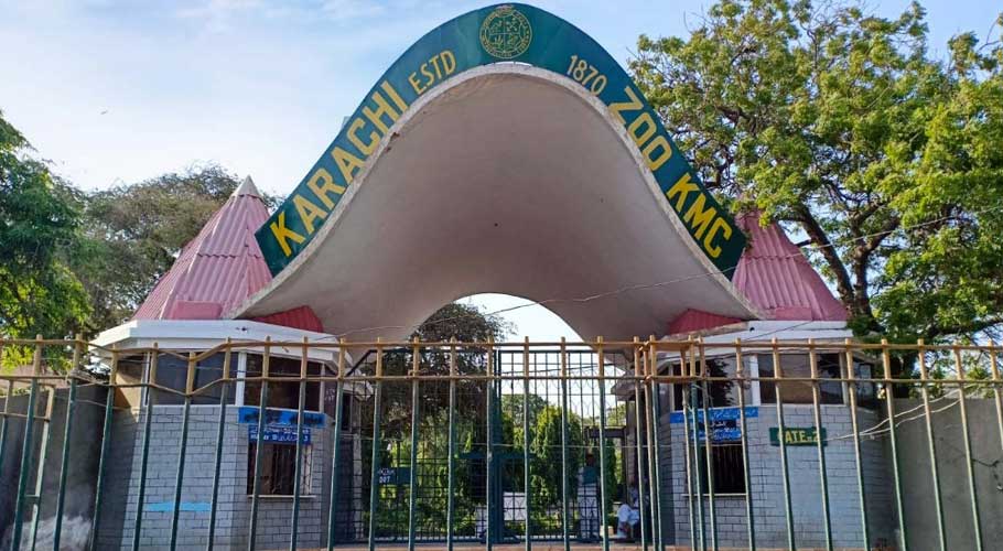 Contractor refuses to provide food to animals at Karachi Zoo. (Source: The Current)